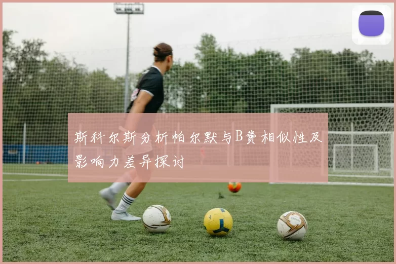斯科尔斯分析帕尔默与B费相似性及影响力差异探讨